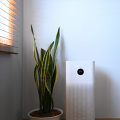 The Truth About Ionic Air Purifiers: Are They Really Safe to Breathe?