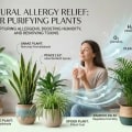 Best Hypoallergenic Air Purifying Plants for Allergy Sufferers